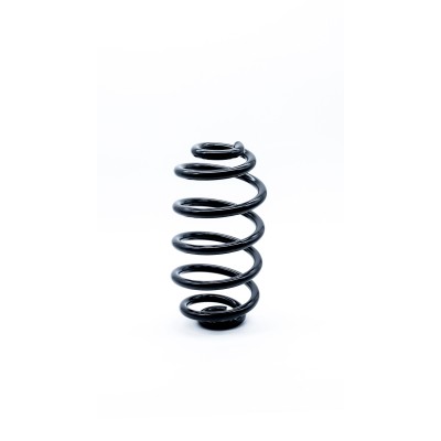Genuine napa rear right - napa, coil