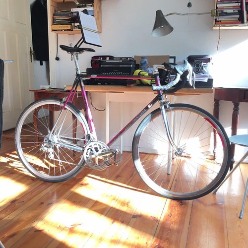 Eddie merckx corsa - eddie, 61cm