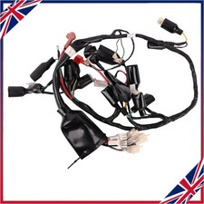 Main Wiring Loom Harness For