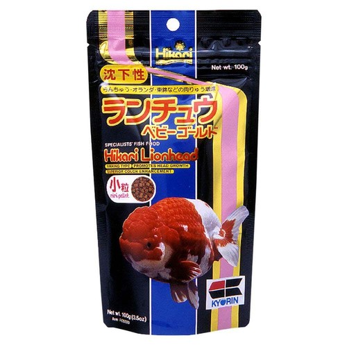 Hikari lionhead goldfish fish - hikari,