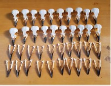 5 Magpie Skulls Pica Pica UK