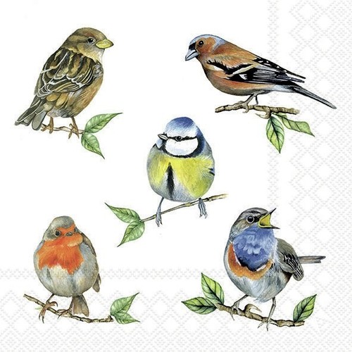 Lunch paper - lunch,