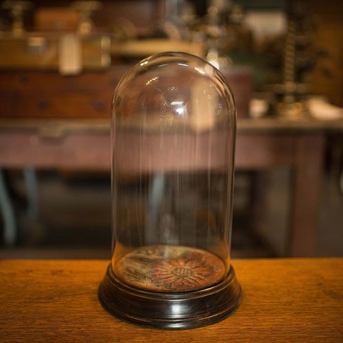 Antique display dome english - antique, dome,