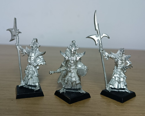 Dark elf black guard - elf, of