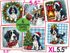 B+W Springer Spaniel Christmas