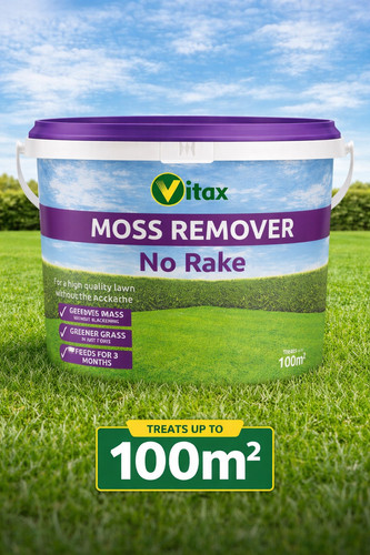 Vitax moss remover - remover, no