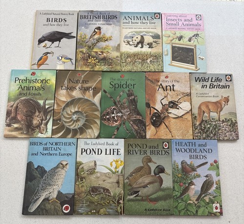 Vintage ladybird natural - vintage,