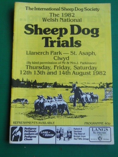 Welsh national sheep - welsh,