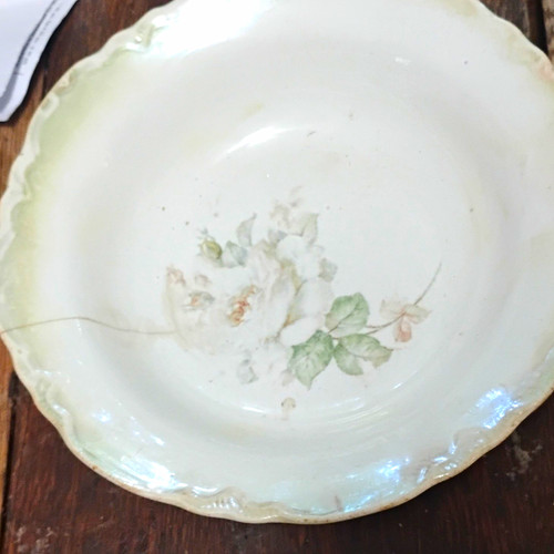 Thompson white green - thompson, floral