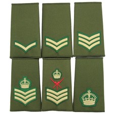 Intelligence Corp Rank Slides