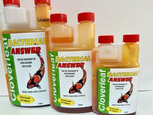 Cloverleaf bacterial answer - bacterial,