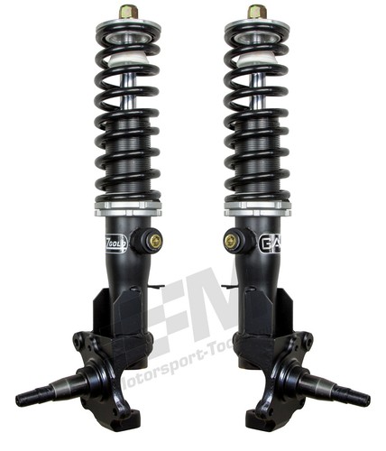Escort mk1 mk2 gaz gold - mk2,