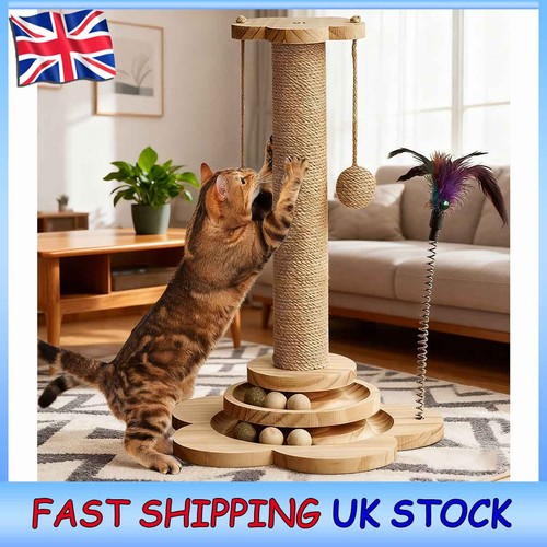 Indoor cat activity centre - indoor,