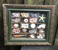 Antique Edwardian shell