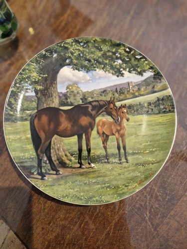 Spode display plate the - spode,