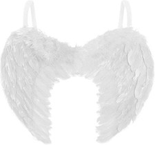 Angel Wings White Feather