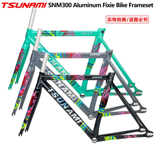 Single speed bike frame - speed,