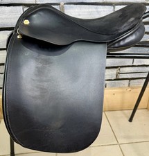 15” MW Ryder WH Pony Show