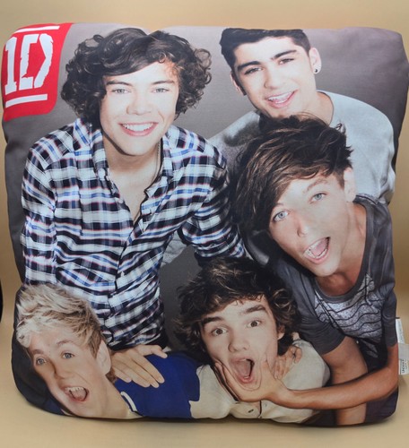 2013 one direction photo - 2013,