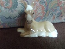 SZEILER FOAL 59/4  5" (13cm)