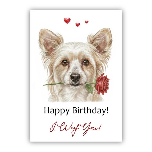 Chinese crested dog birthday - chinese,