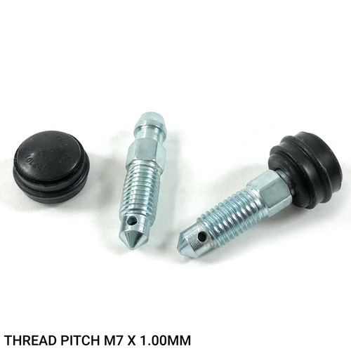 Rear brake caliper bleed - rear,