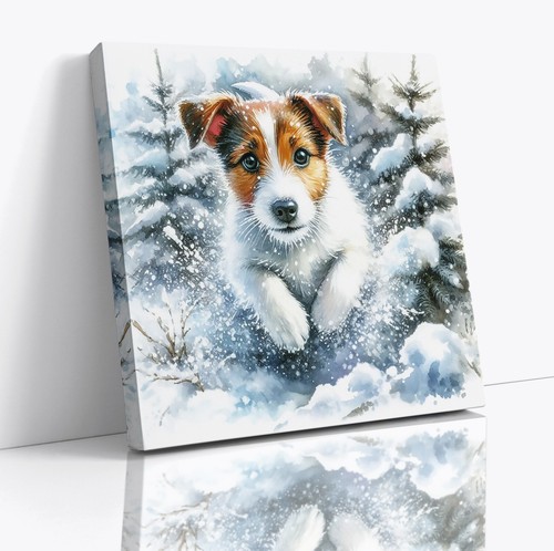 Jack russell dog snow - jack, in