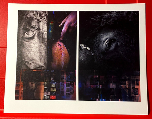 The pixies minotaur poster - the, art