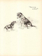 Antique beagle print - antique,