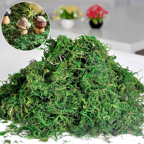 Artificial reindeer moss dried - moss,