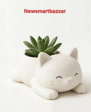 Cute Cat Succulent Planter