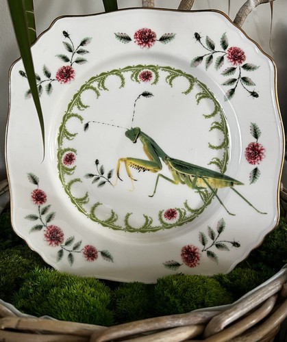 Very rare anthropologie lou - very,