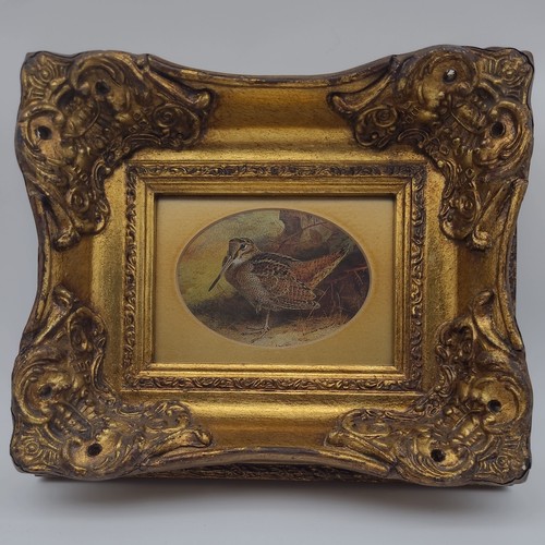 Archibald thorburn woodcock - archibald,