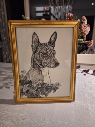 Original vintage basenji dog - original,