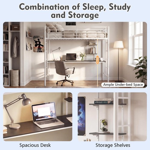 Single loft bed frame with - single,