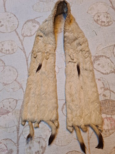 Vintage ermine stole - vintage,