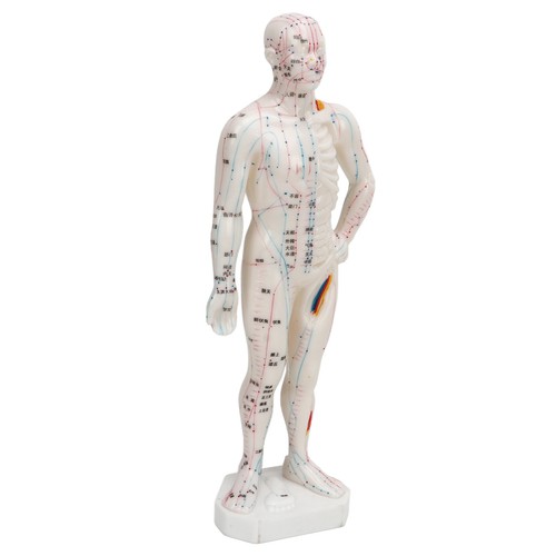 Professional portable human - portable,