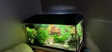 Fish Tank Aquarium