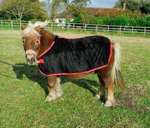 Rhinegold small pony coral - small,