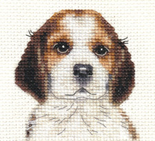 BEAGLE PUPPY dog pup  Full