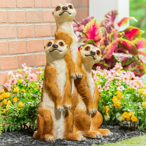 Evergreen meerkat family - evergreen,