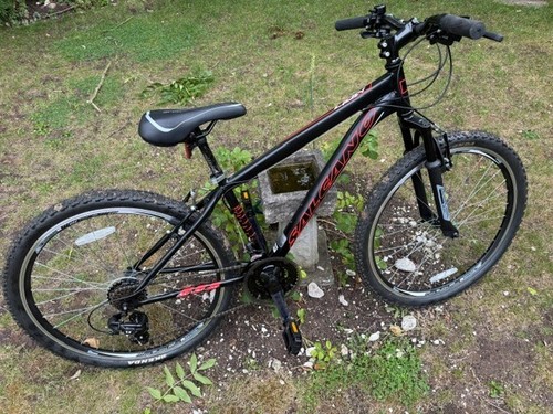 Salcano lion mountain bike - lion,