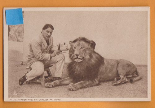 British empire exhibition - empire,