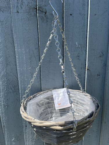 Sweet pea seeds with - pea, hanging