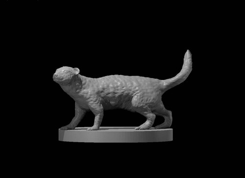 Giant weasel for dungeons - for,