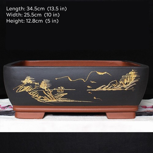 Extra large black bonsai - 13",