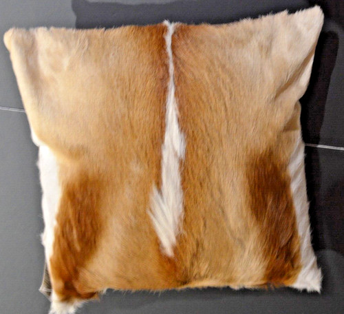 Springbuck springbok skin - springbuck,