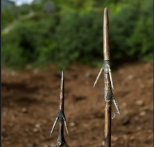 A Pair  of Old Papua New