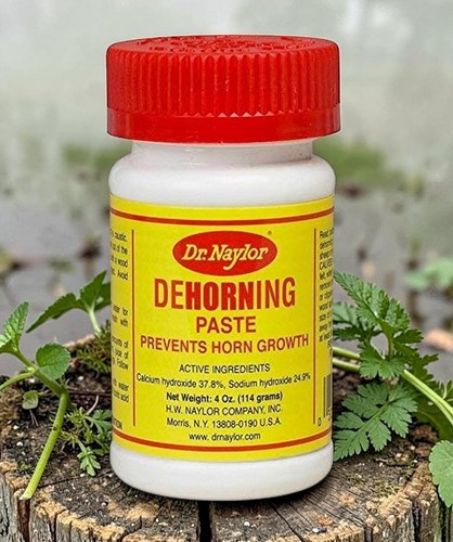 Naylor dehorning paste 4 - dr.,