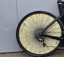 Lightweight carbon disc rear